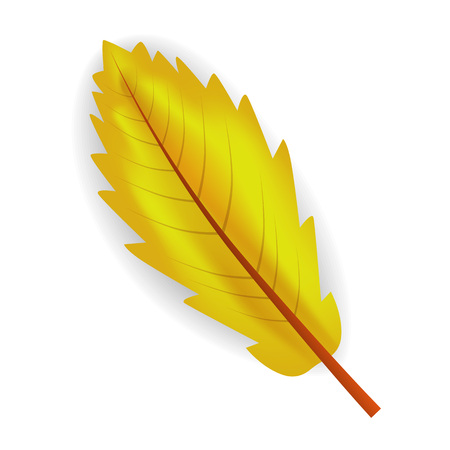 Fall yellow leaf icon. Realistic illustration of fall yellow leaf vector icon for web design isolated on white backgroundのイラスト素材