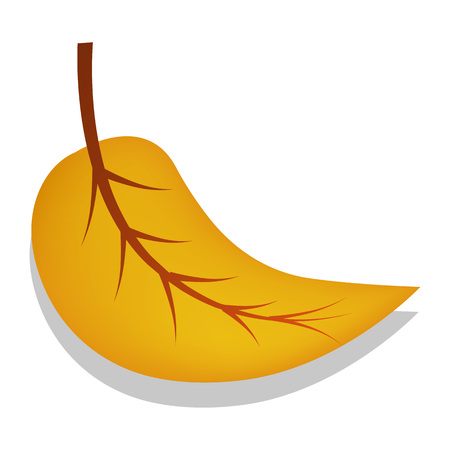 Birch yellow leaf icon. Realistic illustration of birch yellow leaf vector icon for web design isolated on white backgroundのイラスト素材