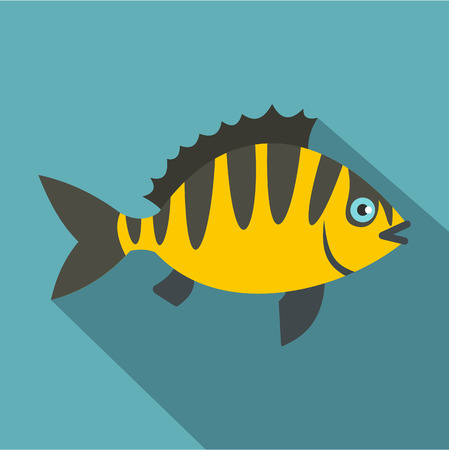 Perch fish icon. Flat illustration of perch fish icon for web isolated on baby blue backgroundの写真素材