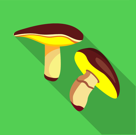 Suilus mushrooms icon. Flat illustration of suilus mushrooms icon for webの写真素材