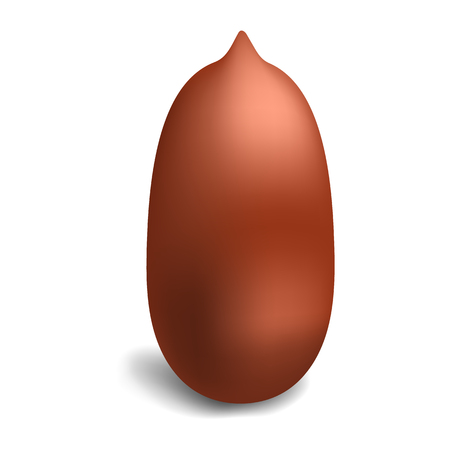 Peanut icon, realistic styleのイラスト素材