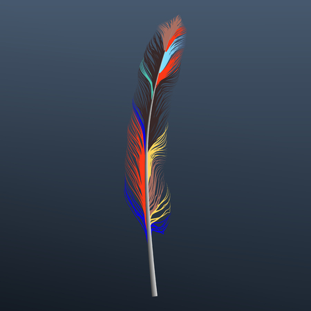 Abstract feather icon, realistic styleのイラスト素材