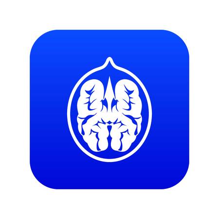 Walnut icon digital blue for any design isolated on white vector illustrationのイラスト素材