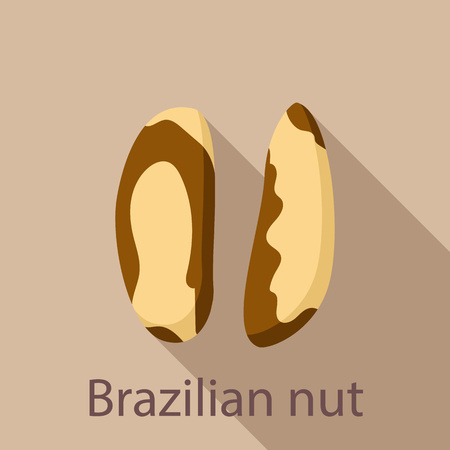 Brazilian nut icon. Flat illustration of brazilian nut vector icon for web designのイラスト素材