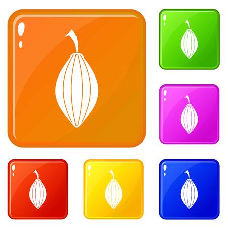 Black cardamom pod icons set collection vector 6 color isolated on white backgroundのイラスト素材