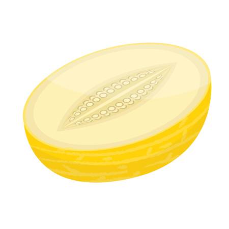 Half melon icon. Isometric of half melon vector icon for web design isolated on white backgroundのイラスト素材