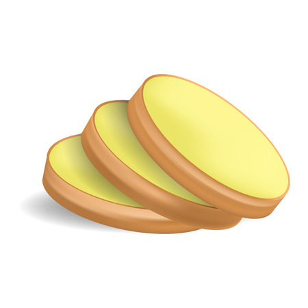Cutted ginger icon, realistic styleのイラスト素材