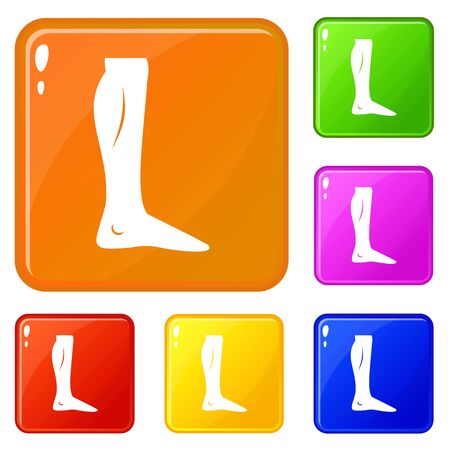 Human leg icons set vector colorのイラスト素材
