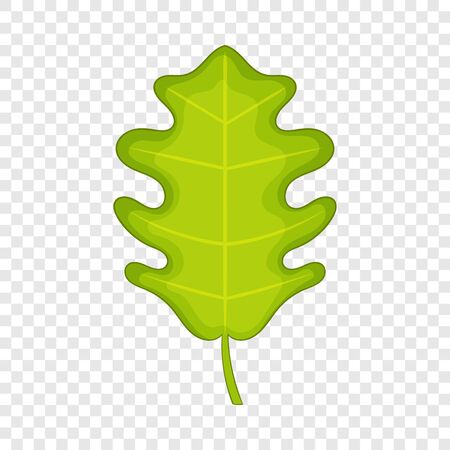Oak leaf icon. Cartoon illustration of oak leaf vector icon for webのイラスト素材