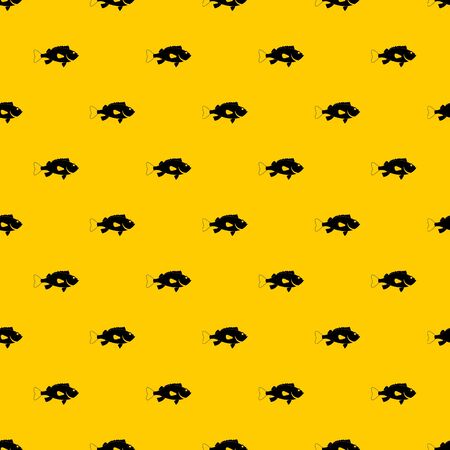 Sea bass fish patternの写真素材