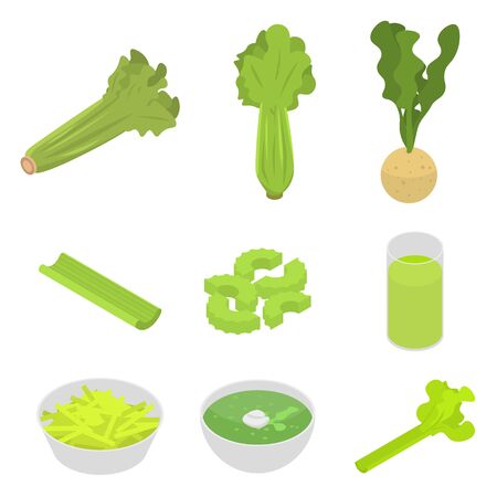 Celery icons set. Isometric set of celery vector icons for web design isolated on white backgroundのイラスト素材
