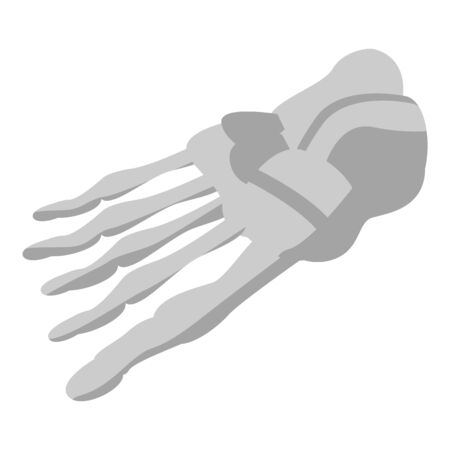 Foot skeleton icon. Isometric of foot skeleton vector icon for web design isolated on white backgroundのイラスト素材