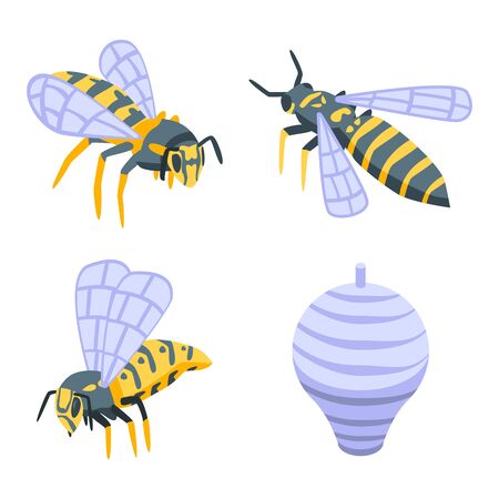 Wasp icons set, isometric styleのイラスト素材