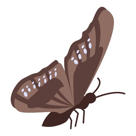 Brown butterfly icon. Isometric of brown butterfly vector icon for web design isolated on white backgroundのイラスト素材