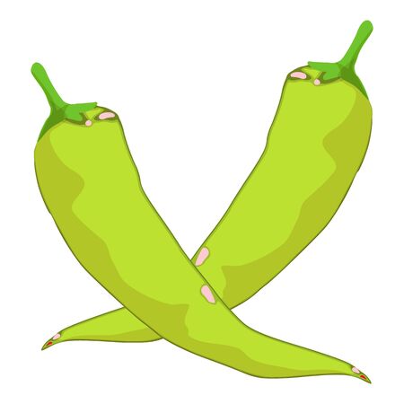 Chilli green icon. Isometric illustration of chilli green vector icon for webのイラスト素材