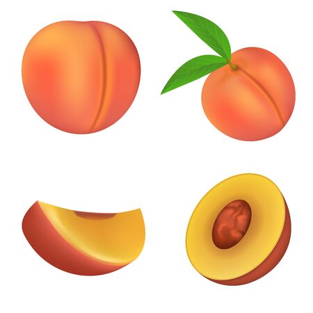 Peach icons set. Realistic set of peach vector icons for web design isolated on white backgroundのイラスト素材
