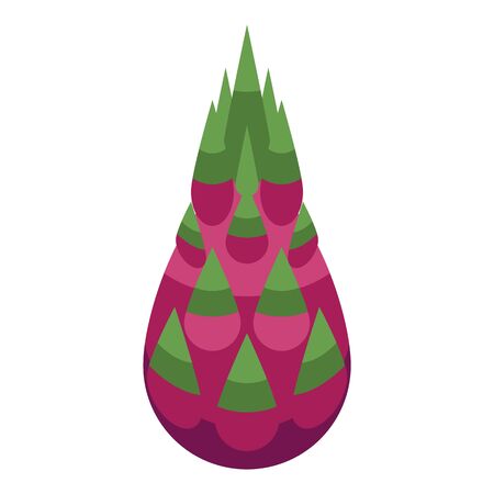 Whole pitaya icon, isometric styleのイラスト素材