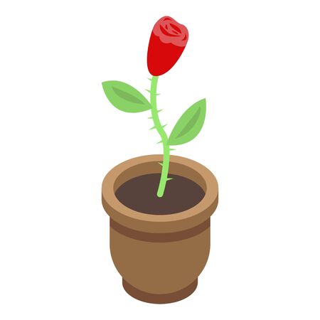 Rose houseplant icon. Isometric of rose houseplant vector icon for web design isolated on white backgroundのイラスト素材