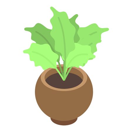 Gardenia houseplant icon, isometric styleのイラスト素材