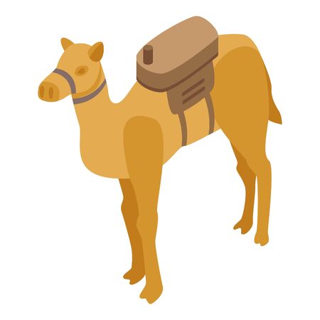 Egypt camel icon, isometric styleのイラスト素材