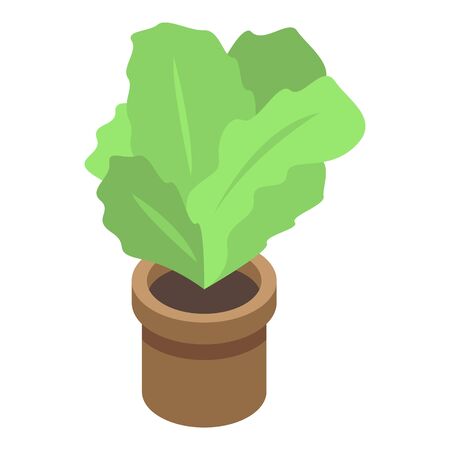 Office plant pot icon, isometric styleのイラスト素材