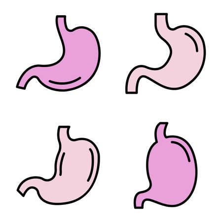 Stomach icons set. Outline set of stomach vector icons thin line color flat on whiteのイラスト素材