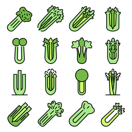 Celery icons set vector flatのイラスト素材