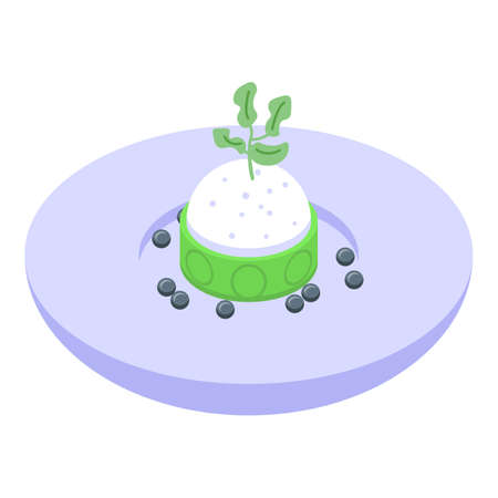 Delicacy molecular cuisine icon, isometric styleのイラスト素材