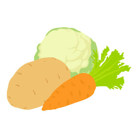 Vegetable harvest icon, isometric styleのイラスト素材