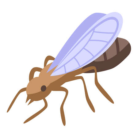 Ant fly icon, isometric styleのイラスト素材
