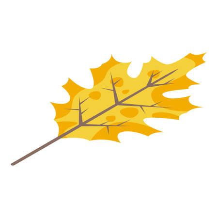 Yellow autumn leaf icon, isometric styleのイラスト素材