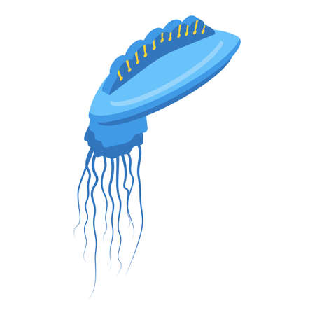 Animal jellyfish icon, isometric styleのイラスト素材