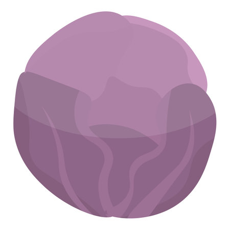 Violet cabbage icon, isometric styleの写真素材