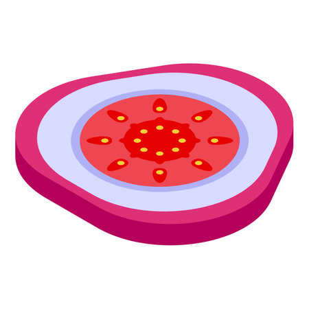 Cutted red figs icon, isometric styleのイラスト素材