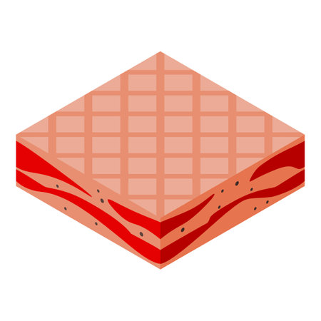 Pork bacon icon, isometric styleのイラスト素材