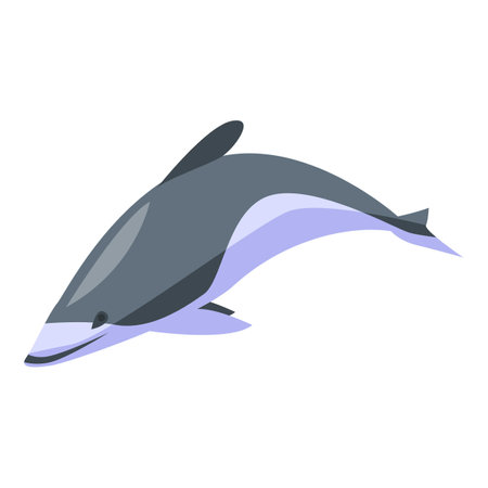 White grey dolphin icon, isometric styleの写真素材