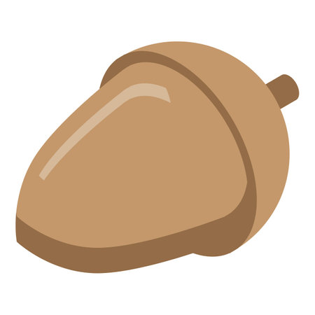 Oak acorn icon, isometric styleの写真素材