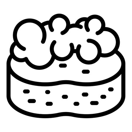 Sponge foam icon, outline styleの写真素材