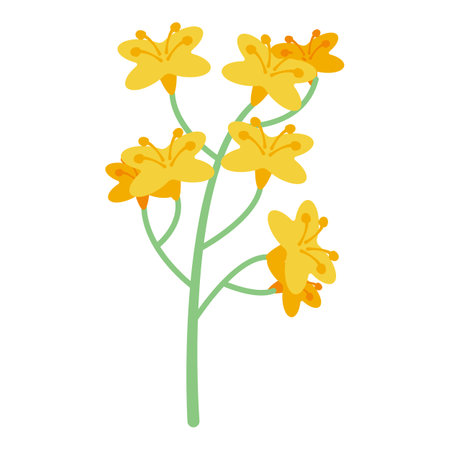 Canola plant icon. Isometric of canola plant vector icon for web design isolated on white backgroundのイラスト素材