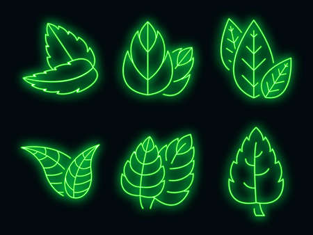 Mint icons set. Outline set of mint vector icons neon color on whiteのイラスト素材