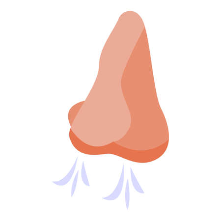 Nose smell icon. Isometric of Nose smell vector icon for web design isolated on white backgroundのイラスト素材