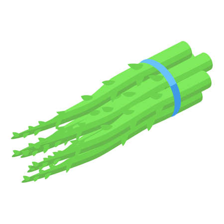 Asparagus branch icon. Isometric of Asparagus branch vector icon for web design isolated on white backgroundのイラスト素材