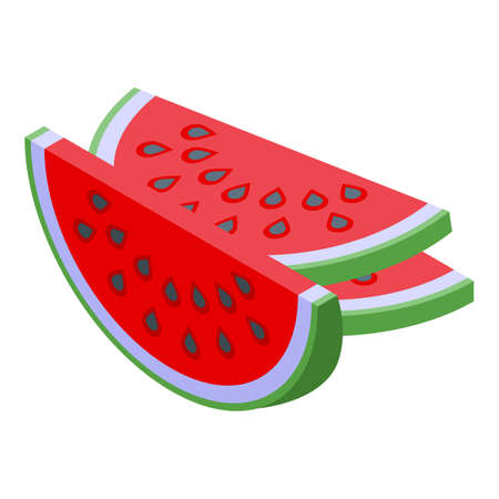 Watermelon pieces icon. Isometric of Watermelon pieces vector icon for web design isolated on white backgroundのイラスト素材