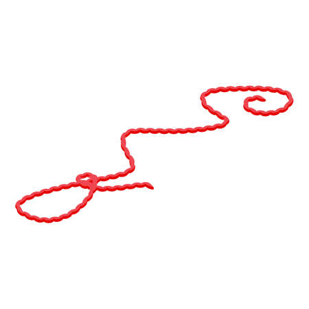 Red lasso icon. Isometric of Red lasso vector icon for web design isolated on white backgroundのイラスト素材