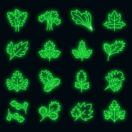Parsley icons set. Outline set of parsley vector icons neon color on blackのイラスト素材