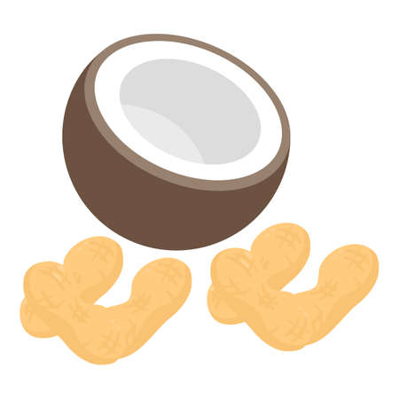 Nut icon isometric vector. Fresh half coconut and unpeeled peanut. Vegetarian nutrition, healthy eatingのイラスト素材