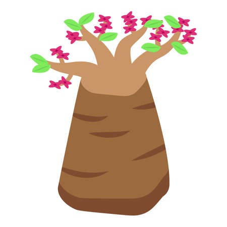 Baobab tree flower icon isometric vector. African fruit. Africa seedのイラスト素材
