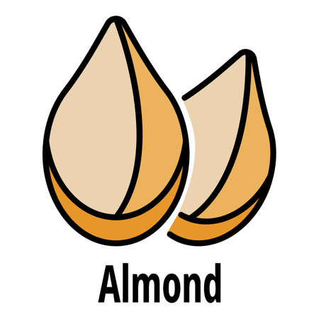 Almond icon. Outline almond vector icon color flat isolated on whiteのイラスト素材