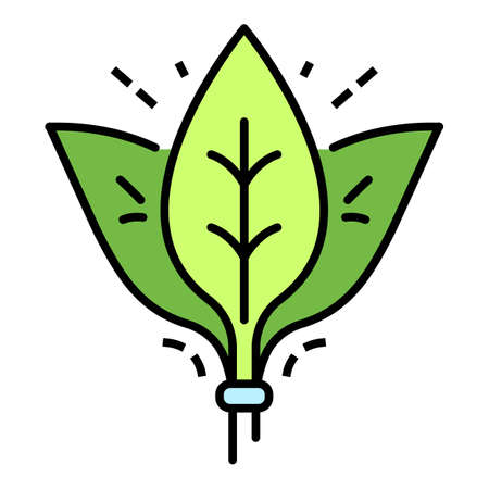 Spinach leaf branch icon. Outline spinach leaf branch vector icon color flat isolated on whiteのイラスト素材