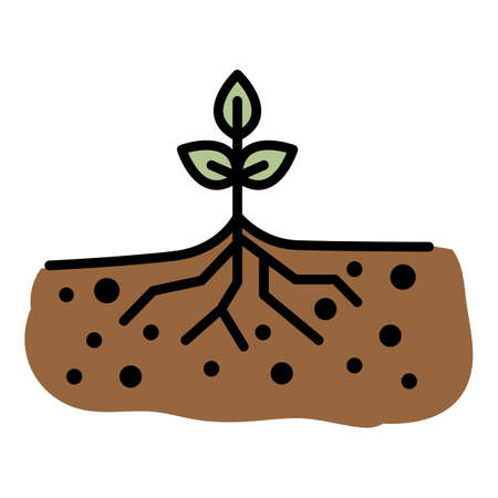 Young sprout with root icon. Outline young sprout with root vector icon color flat isolatedのイラスト素材
